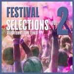 Festival Selections Vol 2/Selection Of EDM Tunes