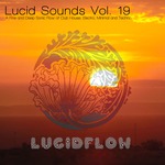 Lucid Sounds Vol 19 (A Fine & Deep Sonic Flow Of Club House, Electro, Minimal & Techno) (unmixed Tracks)