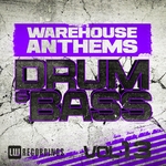 Warehouse Anthems (Drum & Bass) Vol 13