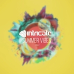 Intricate Records Summer Vibes Vol 2