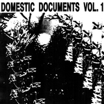 Domestic Documents Vol 1 (Compiled By Butter Sessions &  Noise In My Head)