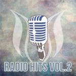 Radio Hits Vol 2