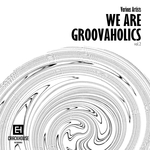 We Are Groovaholics Vol 2