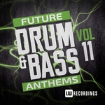 Future Drum & Bass Anthems Vol 11