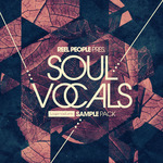 Soul Vocals (Sample Pack WAV/APPLE)