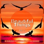 Beautiful Things Vol 9 (A Collection Of Lounge & Chill Out Grooves)