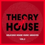 Theory Of House (Delicious House Music Grooves) Vol 2