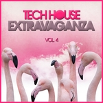 Tech House Extravaganza Vol 4