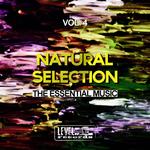 Natural Selection Vol 4 (The Essential Music)