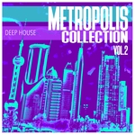 Metropolis Collection Vol 2 - Selection Of Deep House