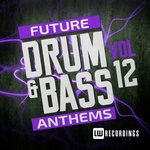 Future Drum & Bass Anthems Vol 12