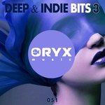 Deep & Indie Bits Vol 3