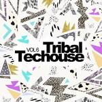 Tribal Techouse Vol 6