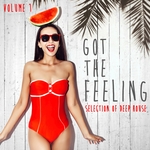 Got The Feeling Collection Vol 1: Selection Of Deep House