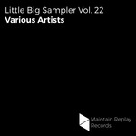Little Big Sampler Vol 22