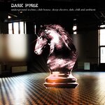 DARK HORSE: Underground Techno, Club House, Deep Electro, Dub, Chill & Ambient