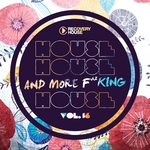 House, House & More F..king House Vol 16