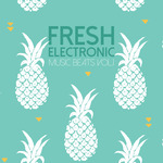 Fresh Electronic Music Beats Vol 2
