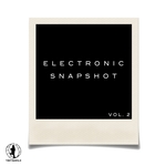 Electronic Snapshot Vol 2