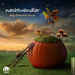 Nachtwandler Vol 17: Deep Electronic House