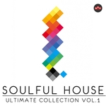 Soulful House/Ultimate Collection Vol 1