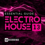 Essential Guide: Electro House Vol 13