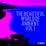The Beautiful World Of Ambient Vol 1