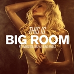This Is Big Room