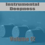 Instrumental Deepness Vol 12