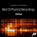 Best Of Promind Recordings 2016