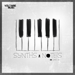 Synths & Notes 33