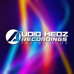 Audio Hedz Recordings The Best Of Vol 1