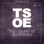 TSOE (The Sound Of Electronica) Vol 6