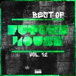 Best Of Future House Vol 12