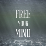 Free Your Mind Vol 2 (Don't Think.. Enjoy)