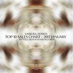TOP10 Sales Chart (2017 January)