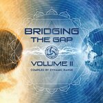 Bridging The Gap, Vol 2 Compiled By Dynamic Range