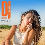 DJ Central - The Hits Vol 28 (Explicit)