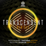 Transcendent Remixes