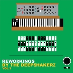 Reworkings By The Deepshakerz Vol 3