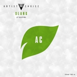 Artist Choice 050. Slang (5th Selection) (unmixed tracks)