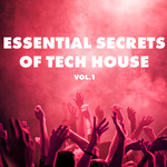 Essential Secrets Of Tech House Vol 1