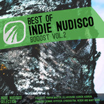 Best Of Indie NuDisco Booost Vol 2