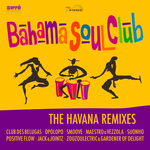 The Havana (Remixes)