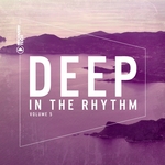 Deep In The Rhythm Vol 5