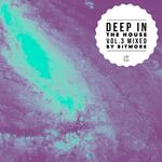 Deep In The House Vol 3 (Mixed by BiTMORE) (Explicit)