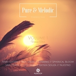 Sunstate Pure & Melodic Vol 1