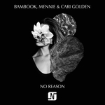 No Reason (feat Cari Golden)
