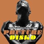 Phuture Disko Vol 16 - Electronic & Discofied