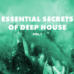 Essential Secrets Of Deep House Vol 1